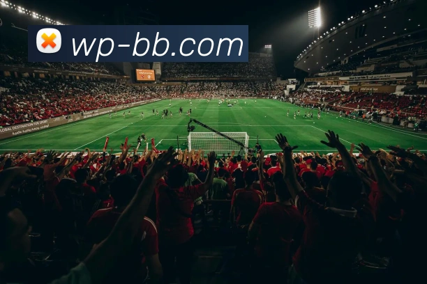 BB视讯官网服务体系